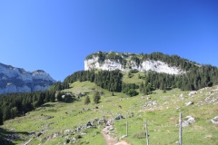 DSCN2866