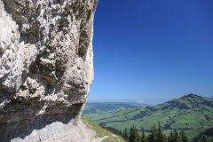 DSCN2880