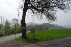 DSCN0539