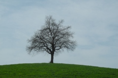 DSCN0540
