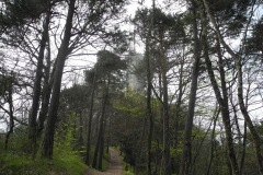 DSCN0542