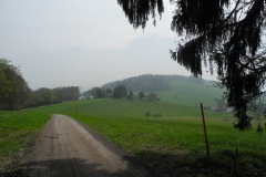 DSCN0546
