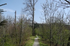 DSCN0559