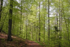 DSCN0563