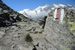 DSCN4844