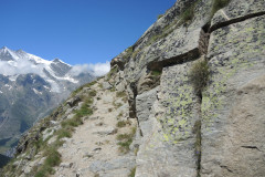 DSCN4866