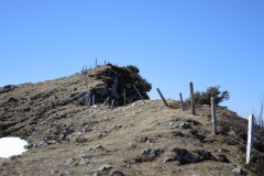 DSCN1471