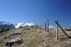 DSCN1473