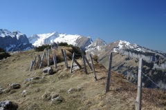 DSCN1475
