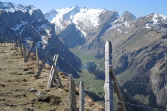 DSCN1484