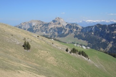 DSCN1493
