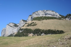 DSCN1498