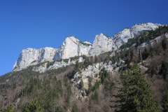 DSCN1501
