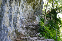 DSC08785
