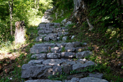 DSC08797