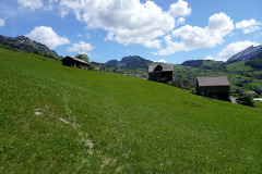DSC08836