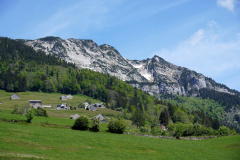 DSC08839