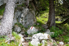 DSC08885