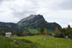 DSC08897