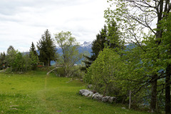 DSC08899
