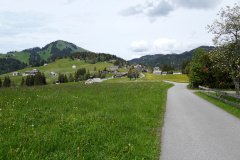 DSC08911