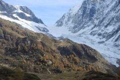 DSCN0241