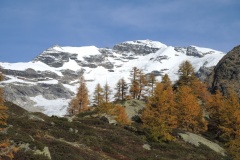 DSCN0258