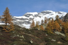 DSCN0260