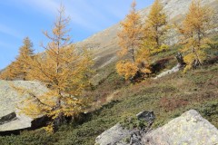 DSCN0262