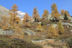 DSCN0263