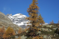 DSCN0264