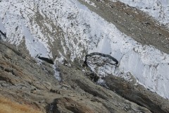 DSCN0278
