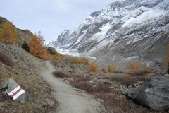 DSCN0280