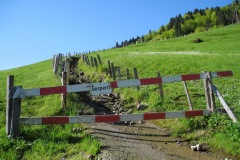 DSCN0579