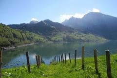 DSCN0581