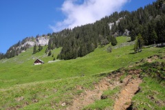 DSCN0584