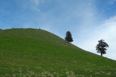 DSCN0630