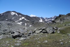DSCN1040