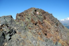 DSCN1106
