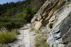 DSC07760