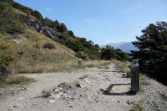 DSC07775