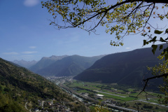 DSC07783