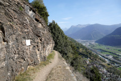 DSC07788