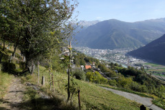 DSC07800