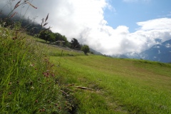 DSCN0733