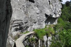 DSCN0745