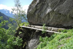 DSCN0746