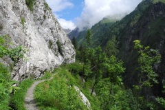 DSCN0749