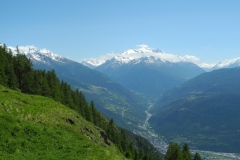 DSCN0769