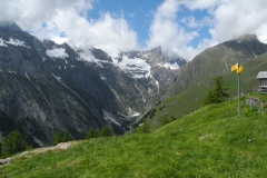 DSCN0772